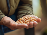守护关节健康，从日常生活做起，日常习惯助您